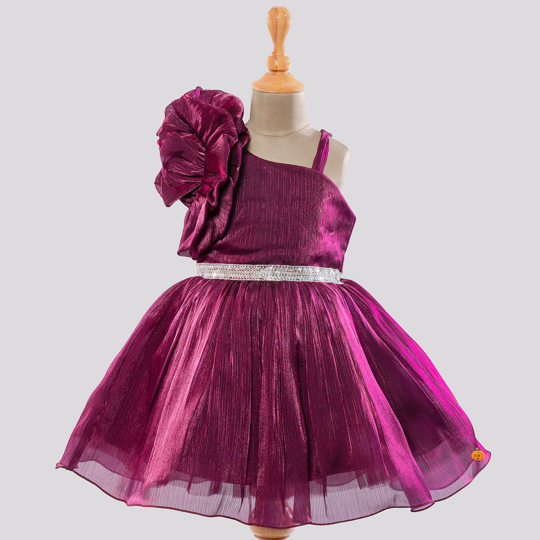 Wine Ruffled Sleeves Frock for Girls Front View