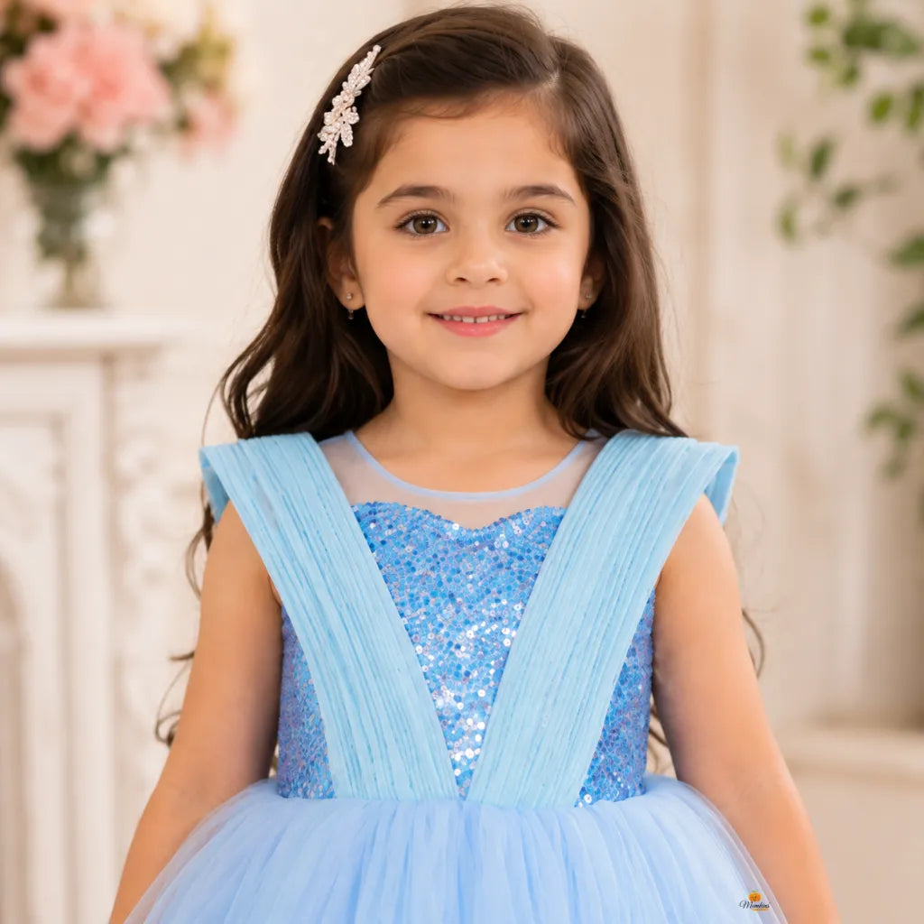 Blue & Purple Layered Girls Frock
