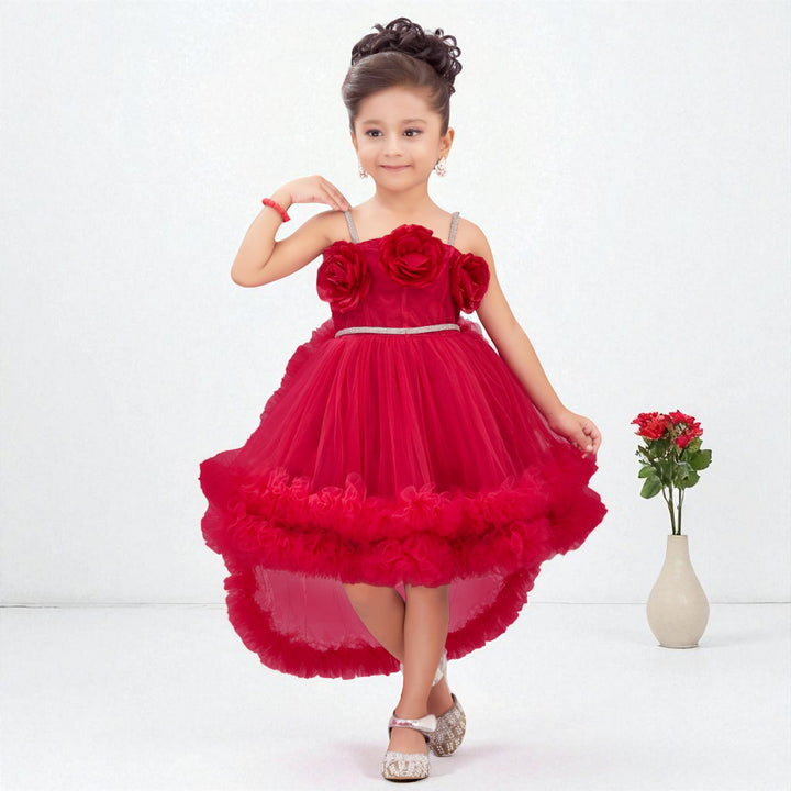 Rani & Wine Floral Detailing Girls Frock 
