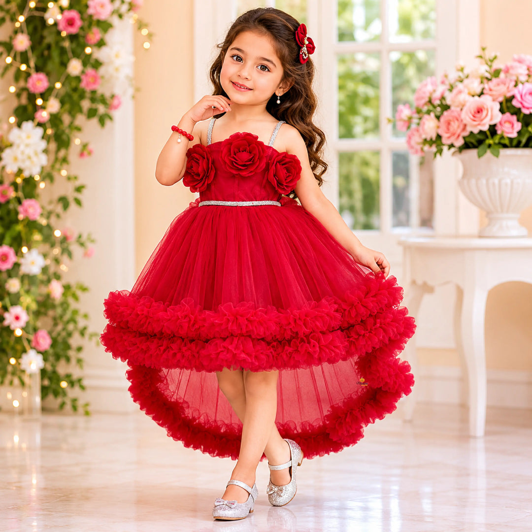 Rani & Wine Floral Detailing Girls Frock