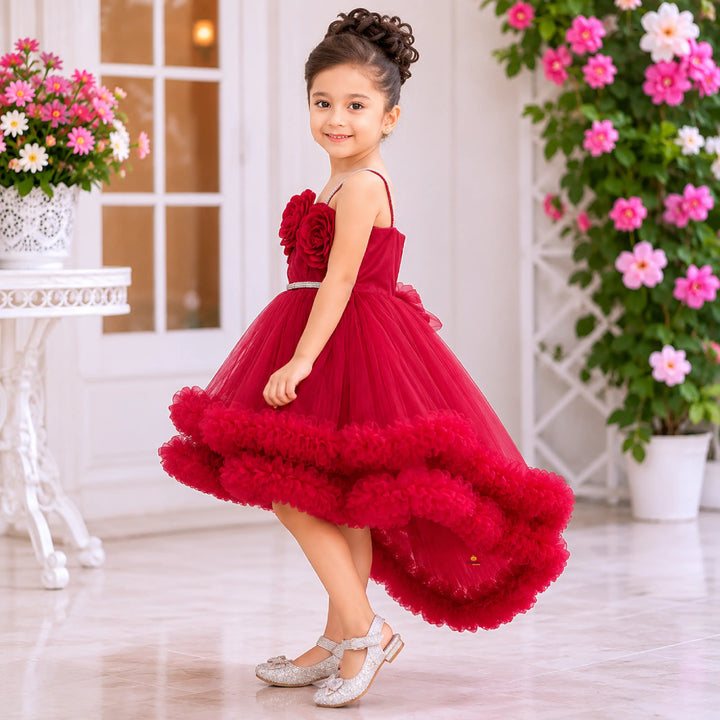 Rani & Wine Floral Detailing Girls Frock