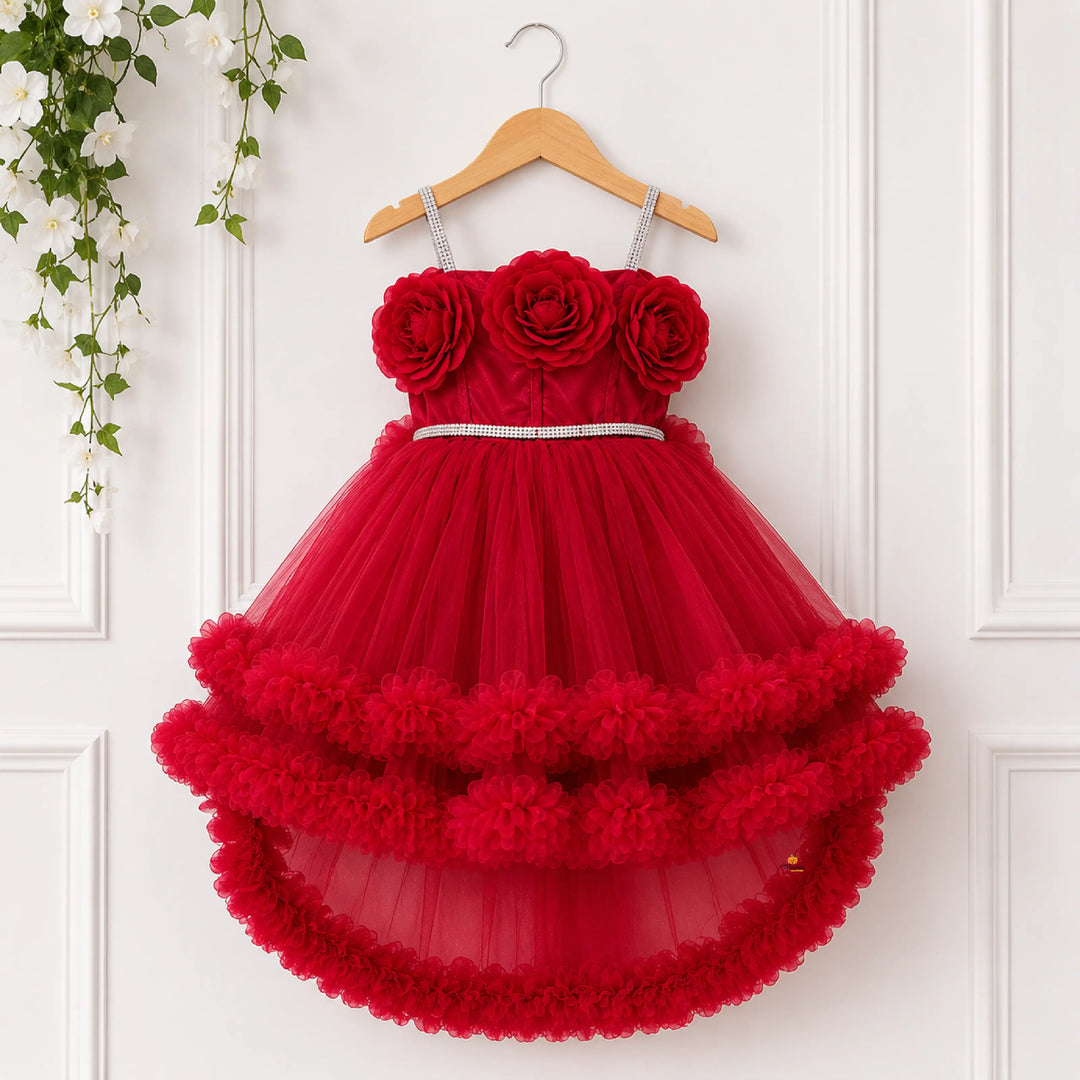 Rani & Wine Floral Detailing Girls Frock
