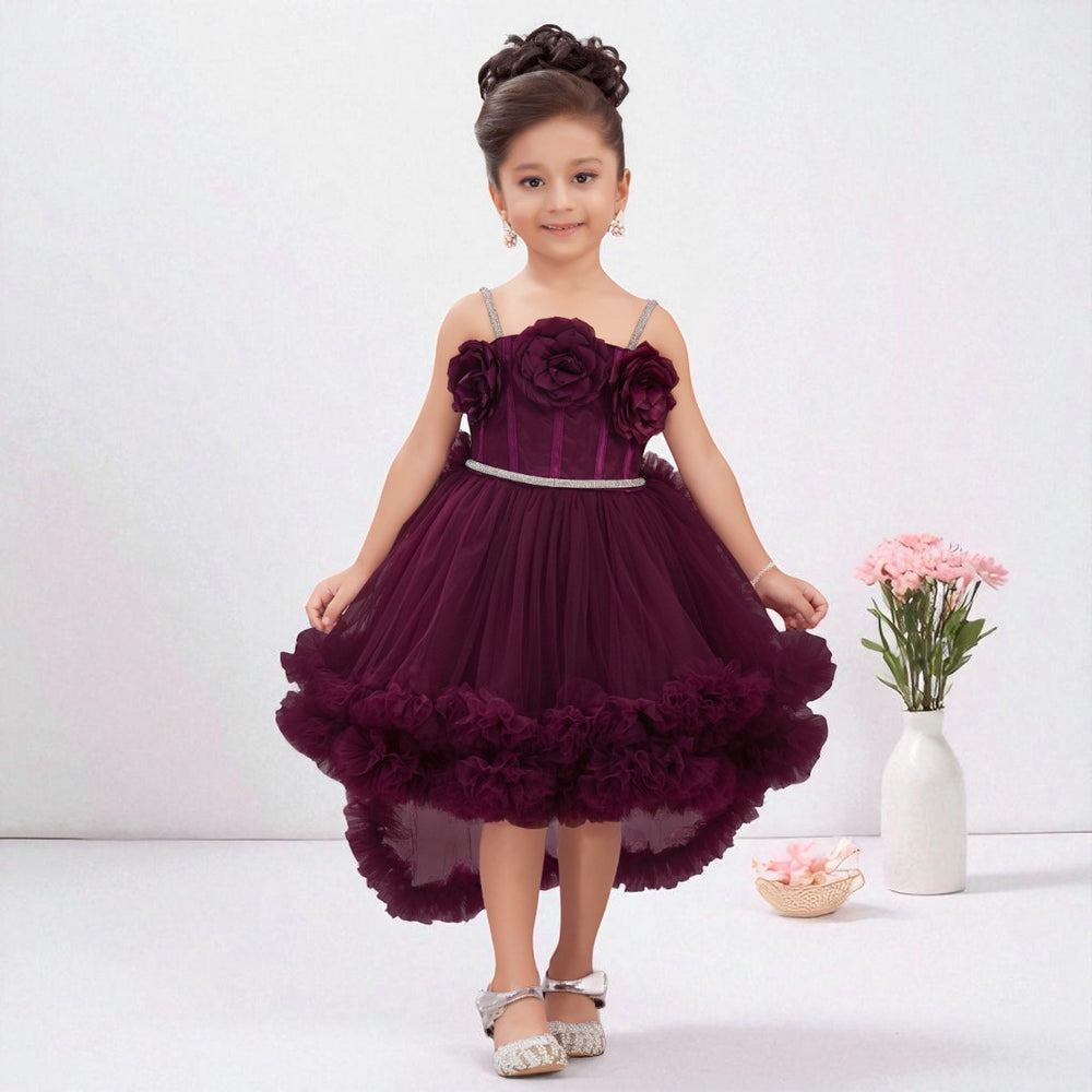 Rani & Wine Floral Detailing Girls Frock 