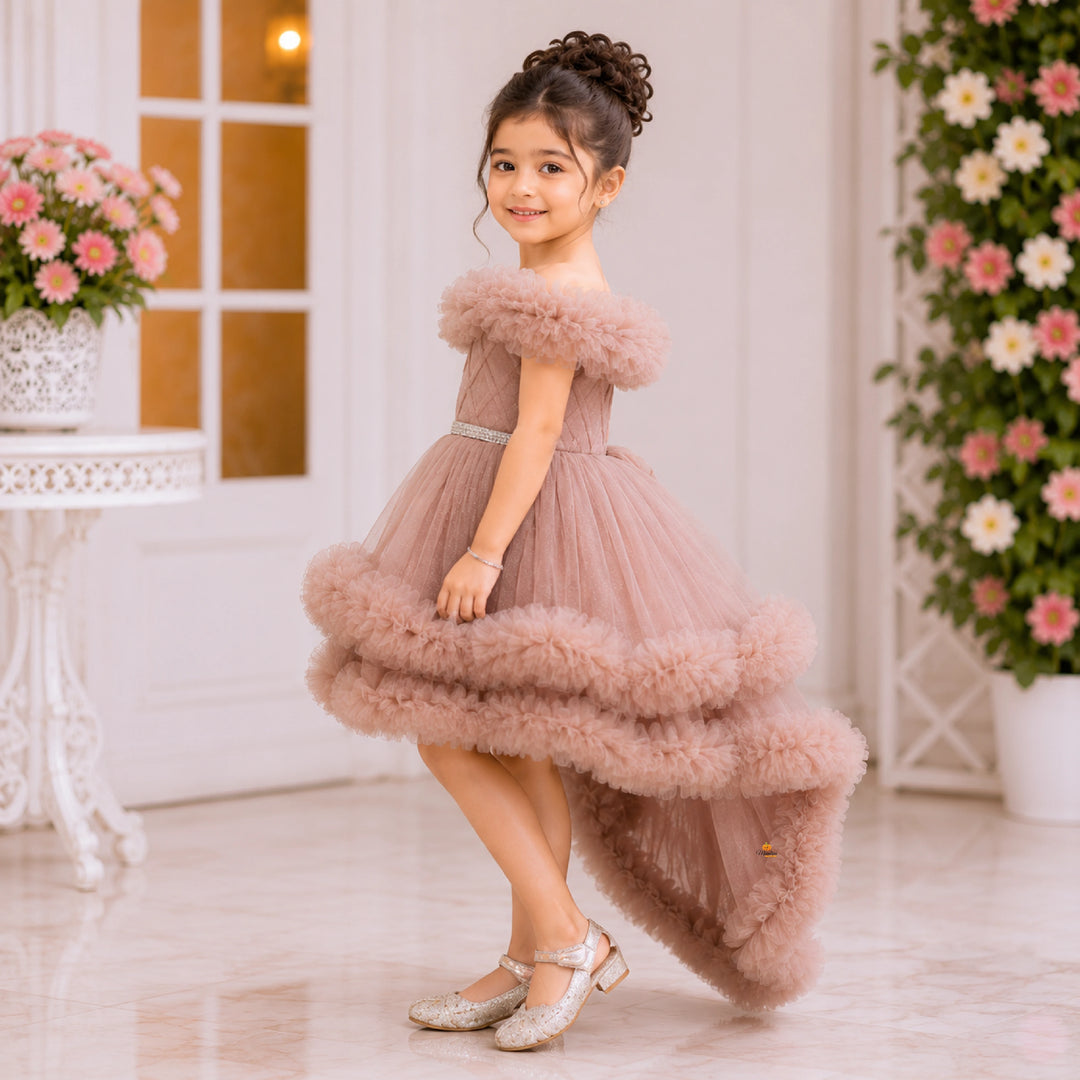 Beige Net Frock for Girls with Ruffle Detailing