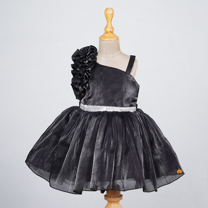 Wine Ruffled Sleeves Frock for Girls Front 