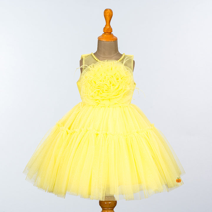 Glittery Net Frock for Girls Front 