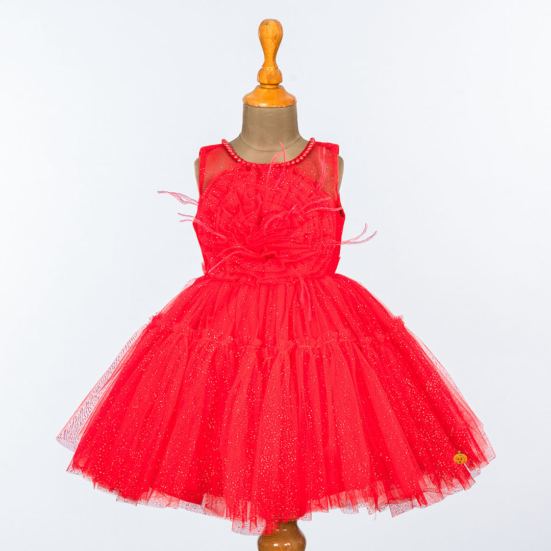 Glittery Net Frock for Girls Front 