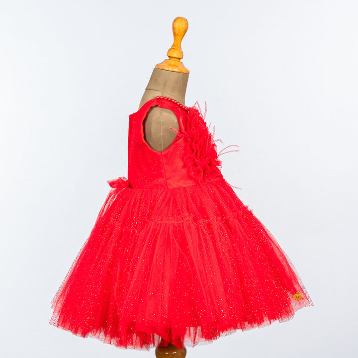 Glittery Net Frock for Girls Side 