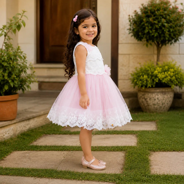 Girls Lace Net Party Wear Dress