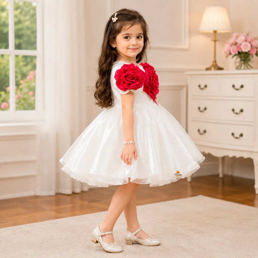 Rose Applique Party Frock for Girls