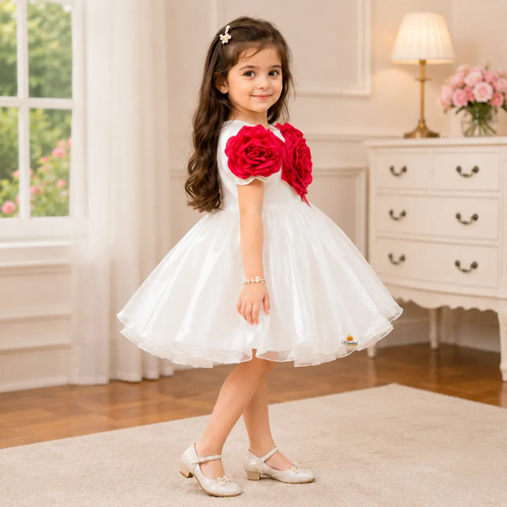 Rose Applique Party Frock for Girls