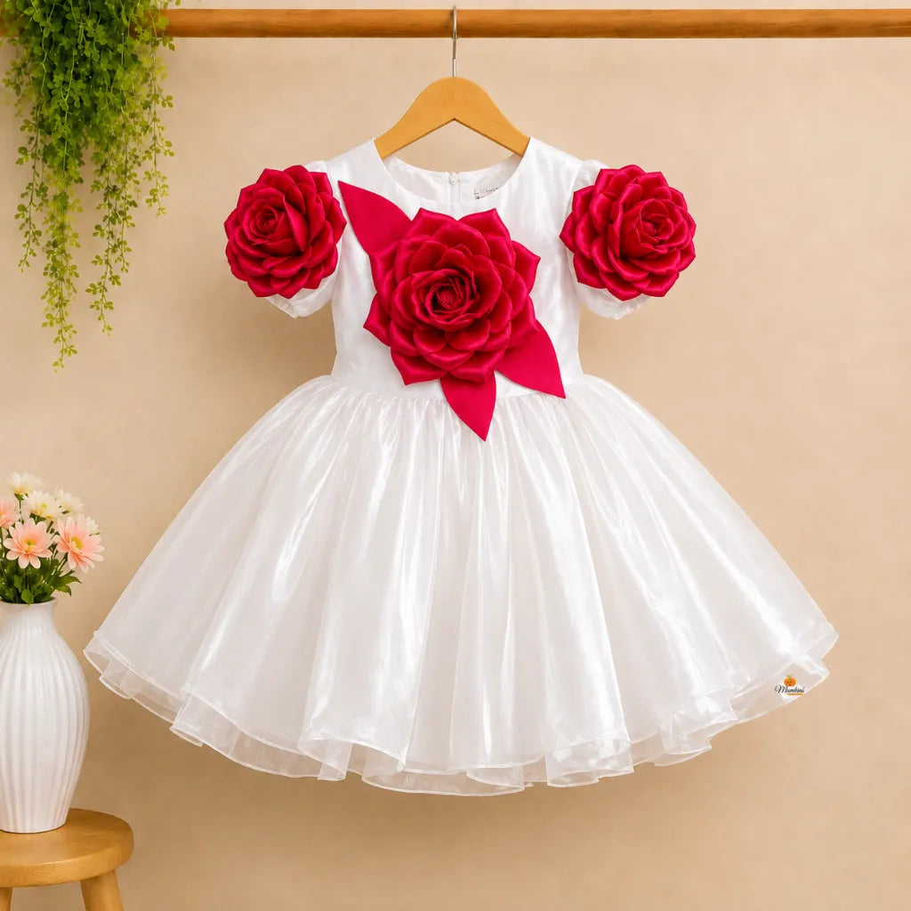 Rose Applique Party Frock for Girls