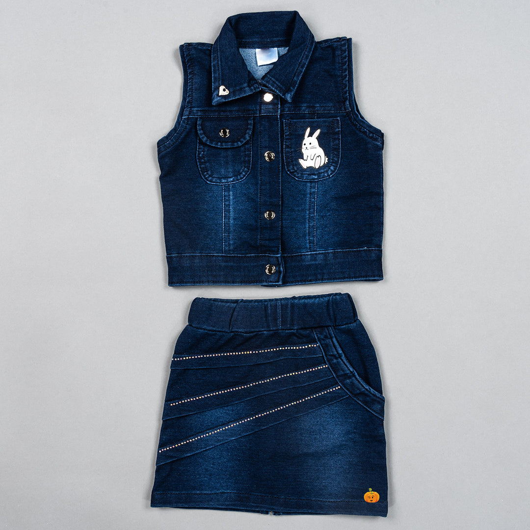 Denim Skirt & Top for Girls 