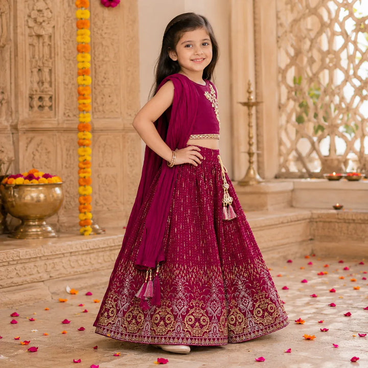 Wine Lehenga Choli for Girls