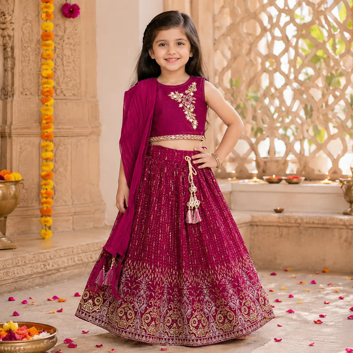 Wine Lehenga Choli for Girls
