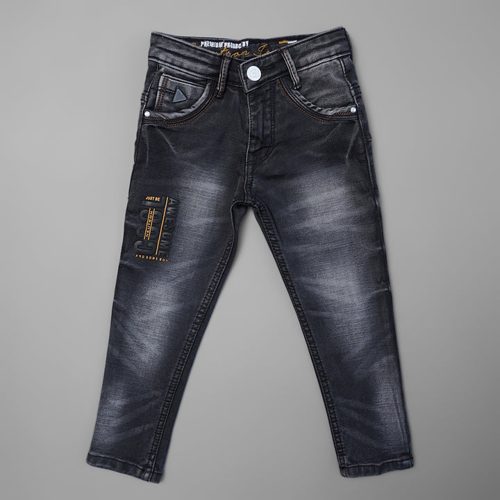Jeans for Boys with Sheded Design Front View