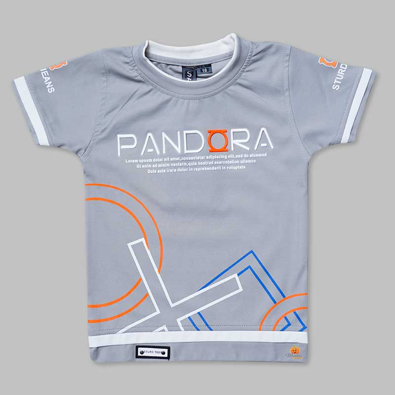 Solid Grey Printed T-Shirts for Boys Variant Front View