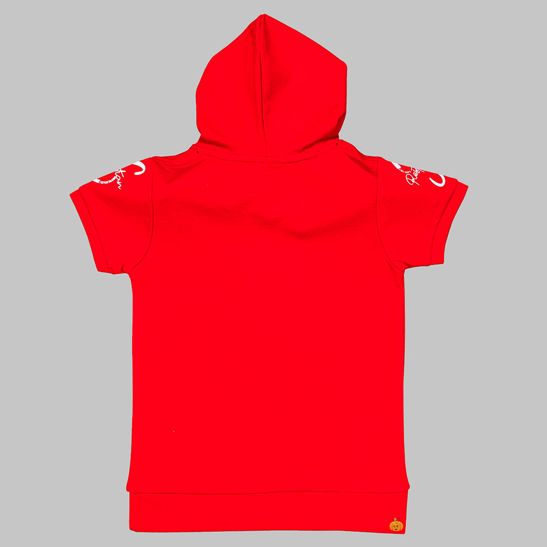 Hooded T shirts for Boys Back View