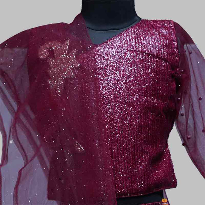 Girls Lehenga Choli With Net Frill Pattern