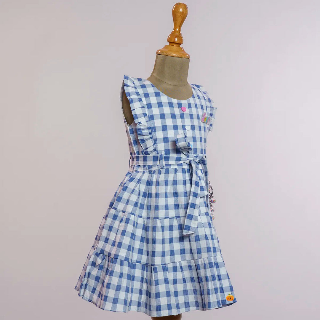 Blue Check Pattern Cotton Girls Frock Side View
