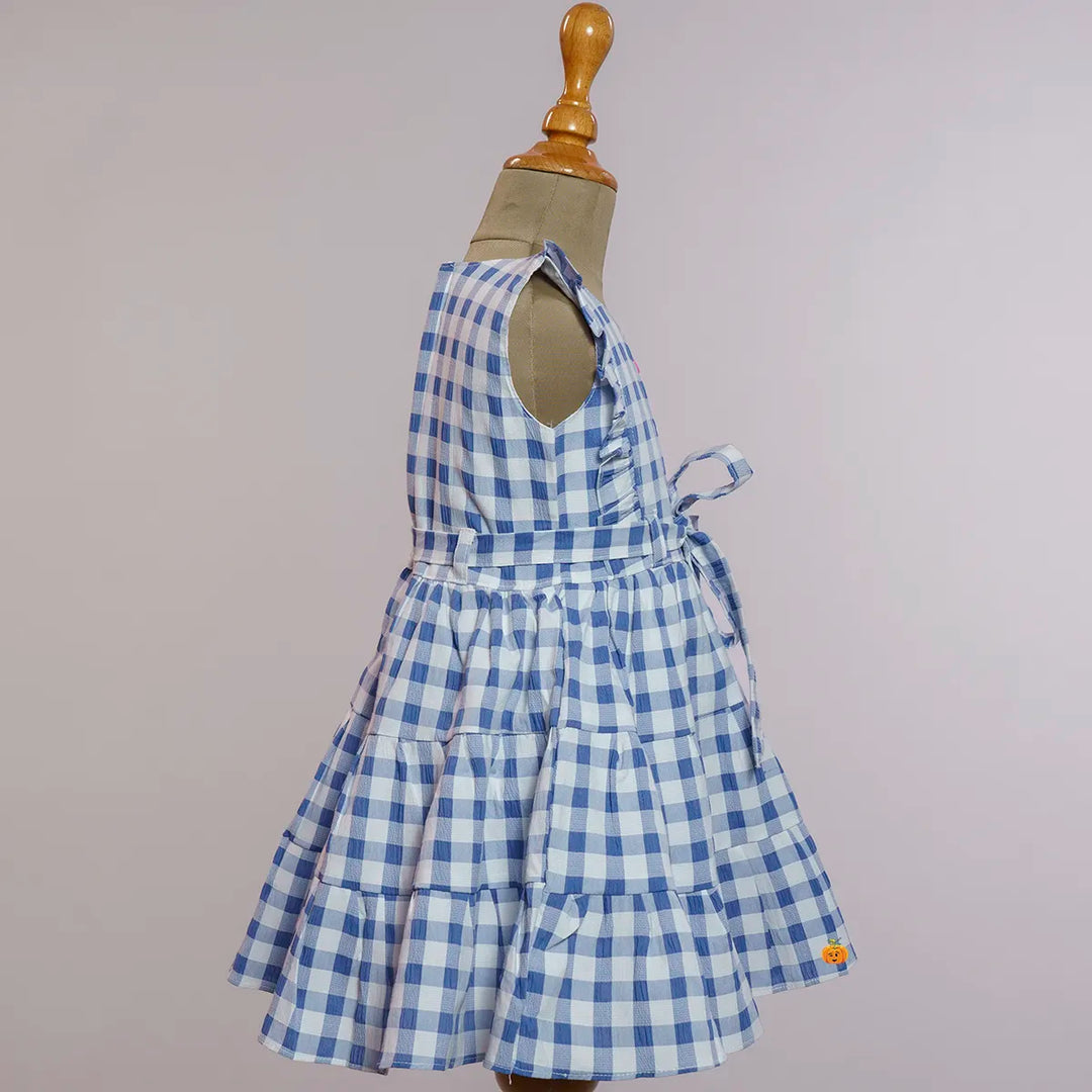 Blue Check Pattern Cotton Girls Frock Side View