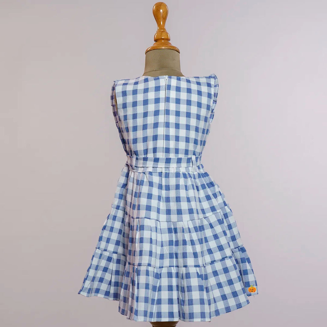 Blue Check Pattern Cotton Girls Frock Back View