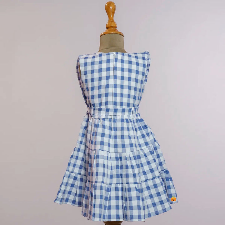 Blue Check Pattern Cotton Girls Frock Back View