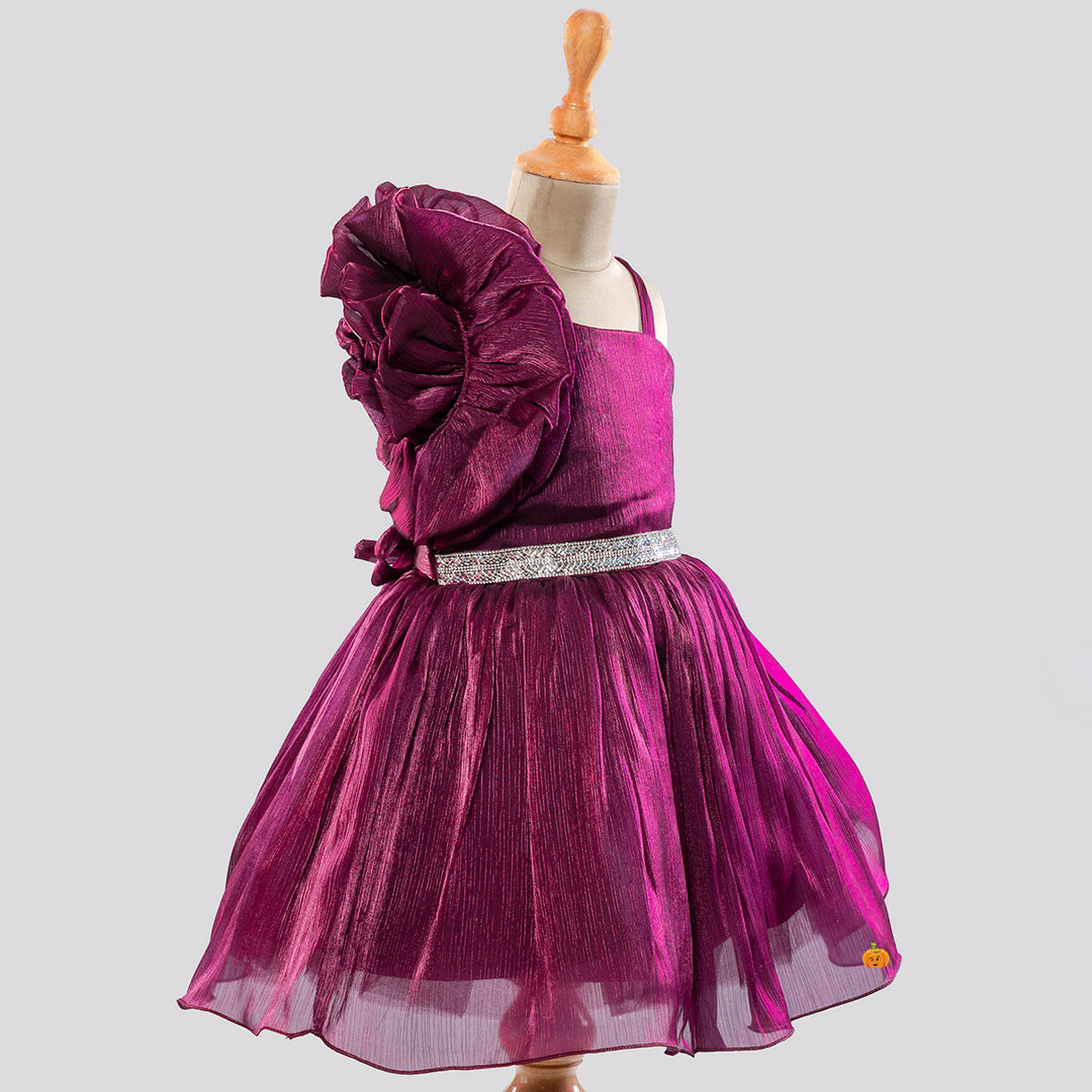 Wine Ruffled Sleeves Frock for Girls Side View