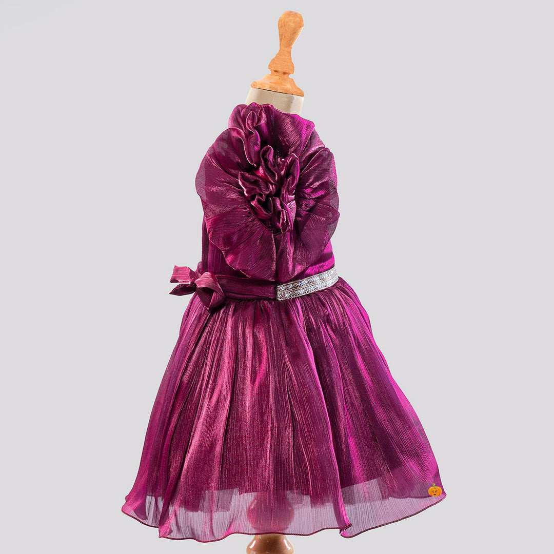 Wine Ruffled Sleeves Frock for Girls Side View