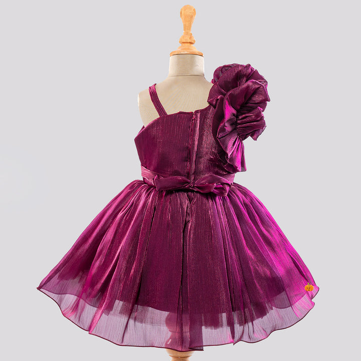 Wine Ruffled Sleeves Frock for Girls Back View