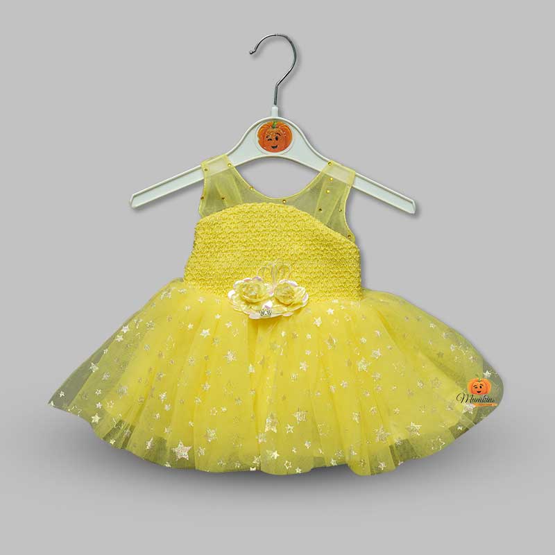 Soft Net Frock for Girls with Flower Applique Front View