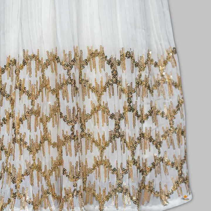 Rani Girls Lehenga Choli