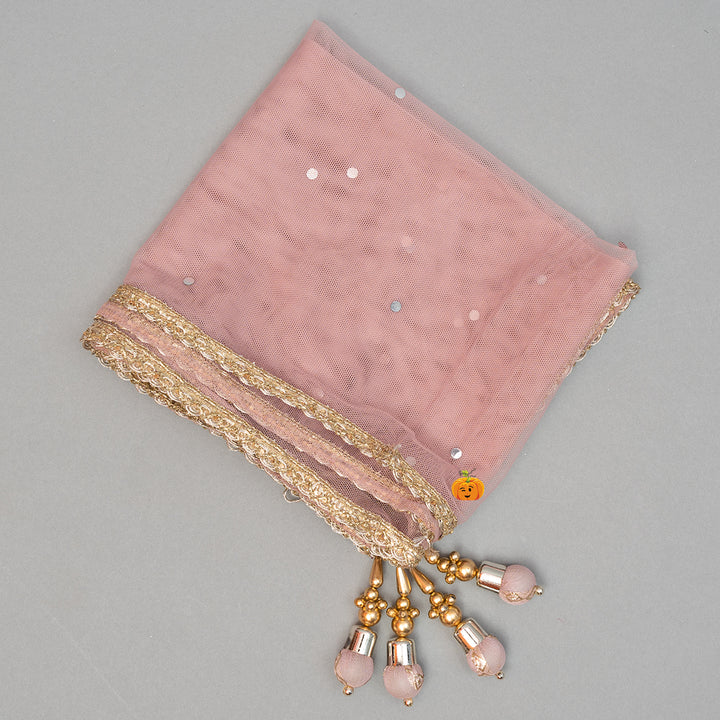 Onion Embroidered Girls Lehenga Choli Dupatta View