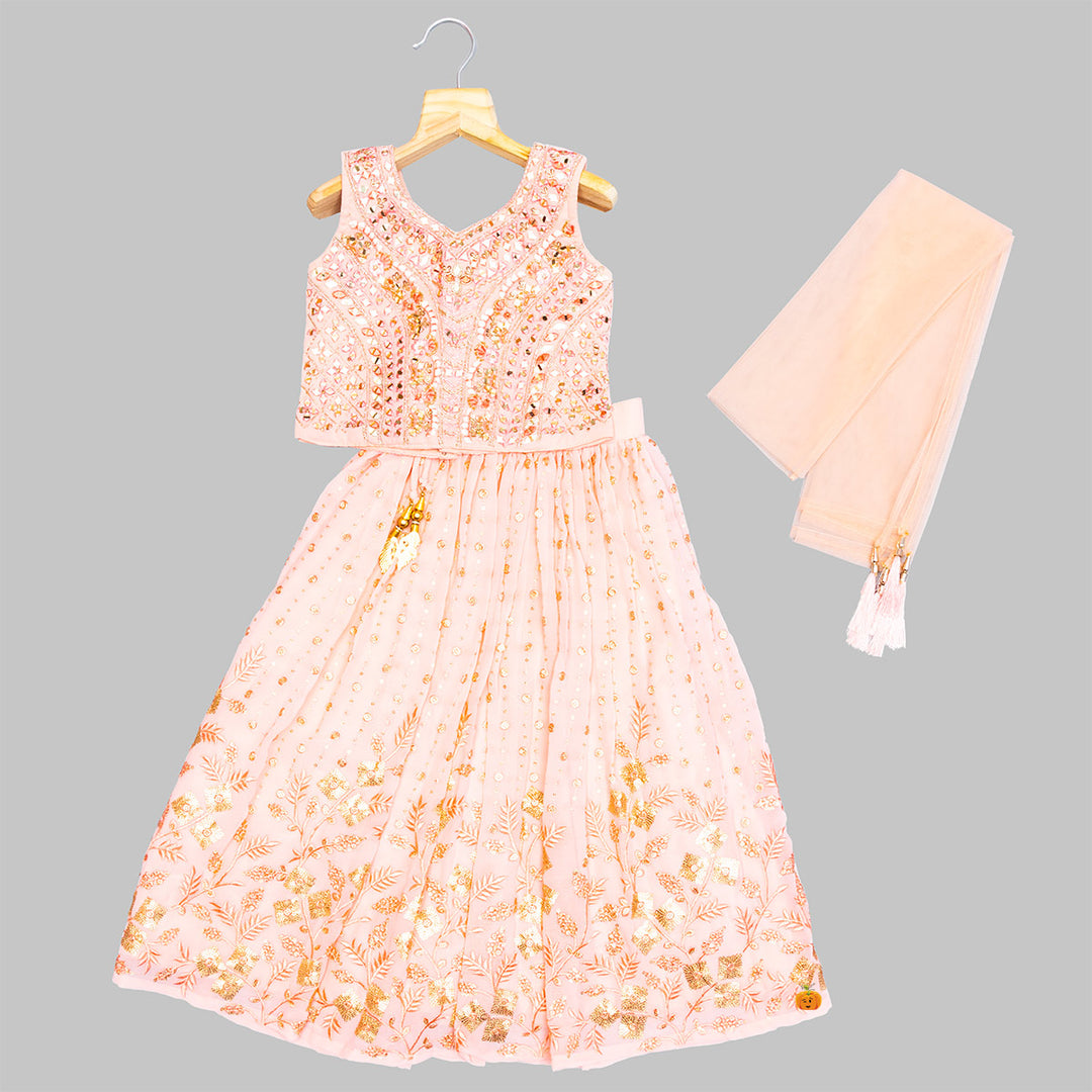Mirror Work Embroidery Girls Lehenga Choli Front View