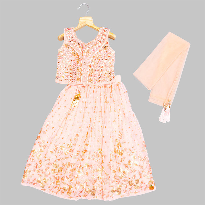 Mirror Work Embroidery Girls Lehenga Choli Front View