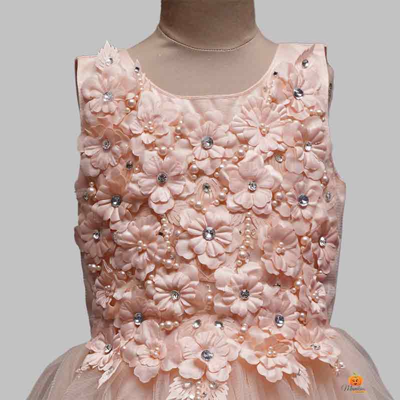 Peach color gown in net fabric | Party gowns online, Gowns for girls, Gowns