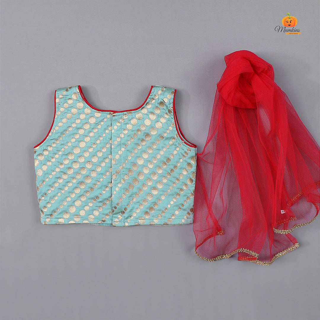 Red & Light Blue Girls Lehenga Choli Back View