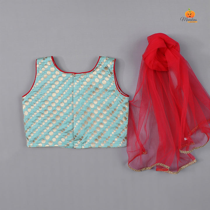 Red & Light Blue Girls Lehenga Choli Back View