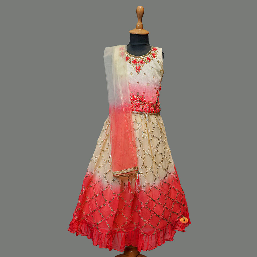 Rani & Lemon Girls Lehenga Choli Front View