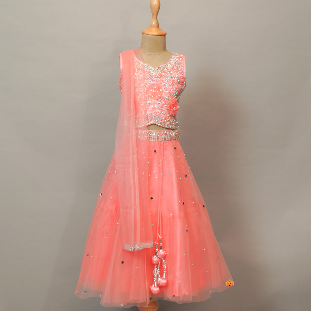 Embellished Girls Lehenga Choli For Kids