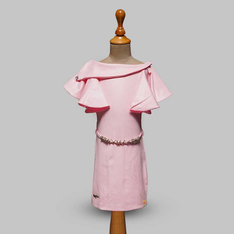 Pink Girls Midi With Butterfly Pattern Sleeves Front View