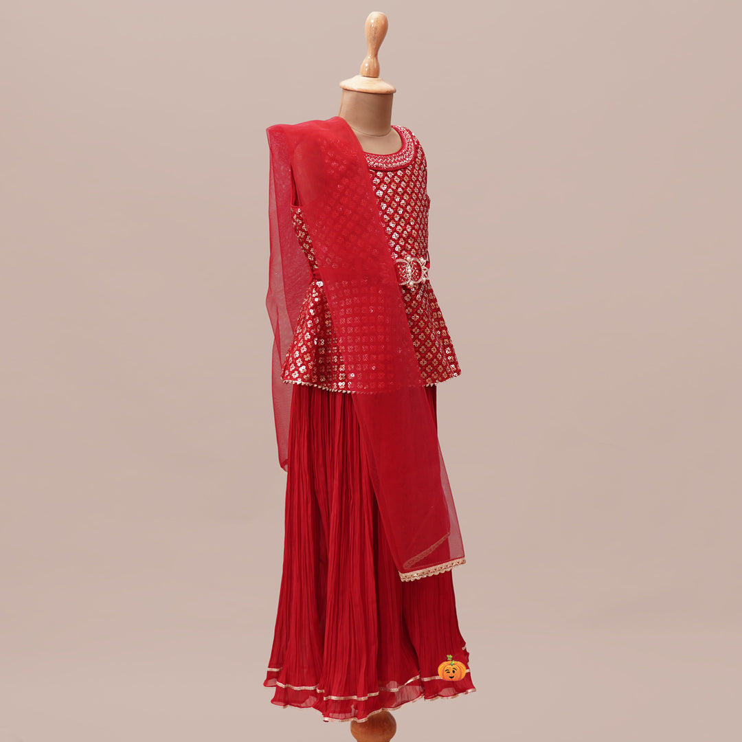 Rani Plazo Suit for Girls with Dupatta Side View